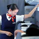 航空服務（票務、安檢方向）、航空乘務定向委培